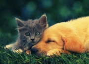 雷火电竞-时空错位之战，当北京队的铁血联防在2029年冻结了菲尼克斯太阳