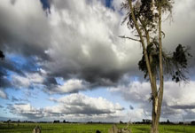 雷火电竞网址-天使之翼斩落波斯铁骑，迪马利亚全场最佳无争议，巴拉圭疾风骤雨一波带走伊朗