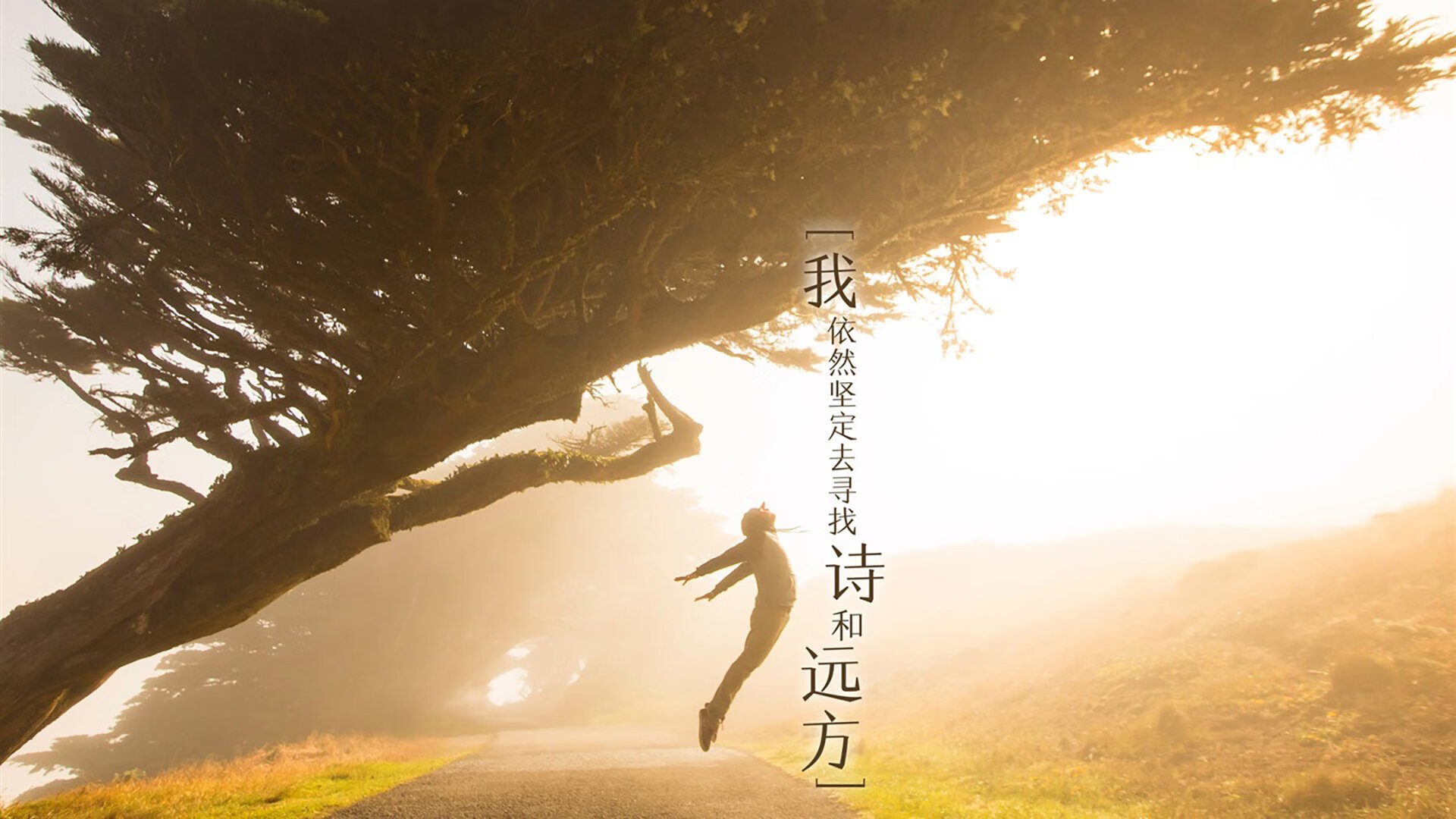 宿命之夜的绿茵独白,2026生死战,哥伦比亚血洗摩洛哥,罗德里戈封神时刻