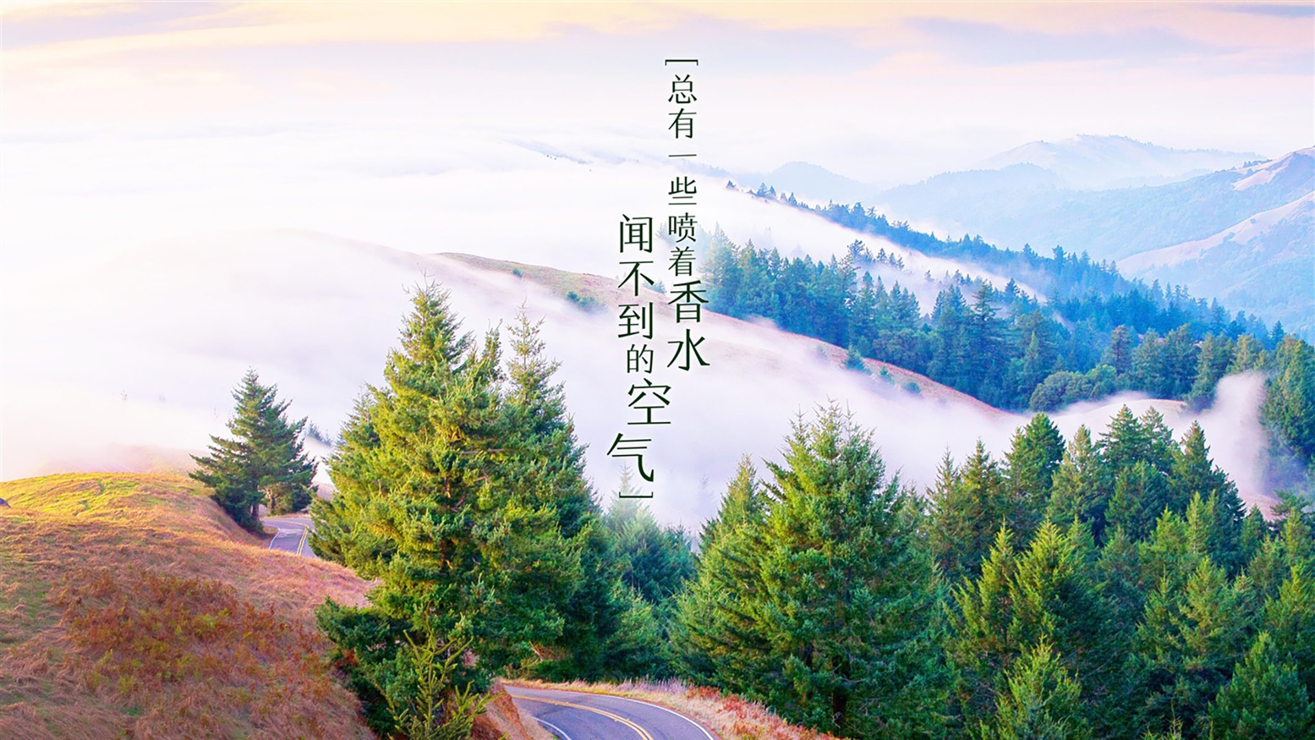 北欧神话再临，2026世界杯豪门对决，挪威弑红魔阿诺德独耀苍穹